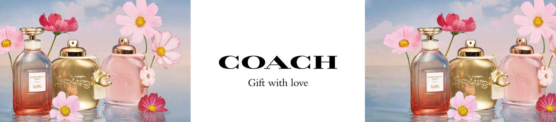Coach New York