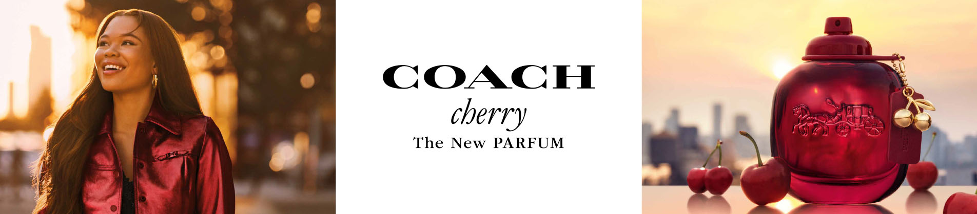 Coach New York