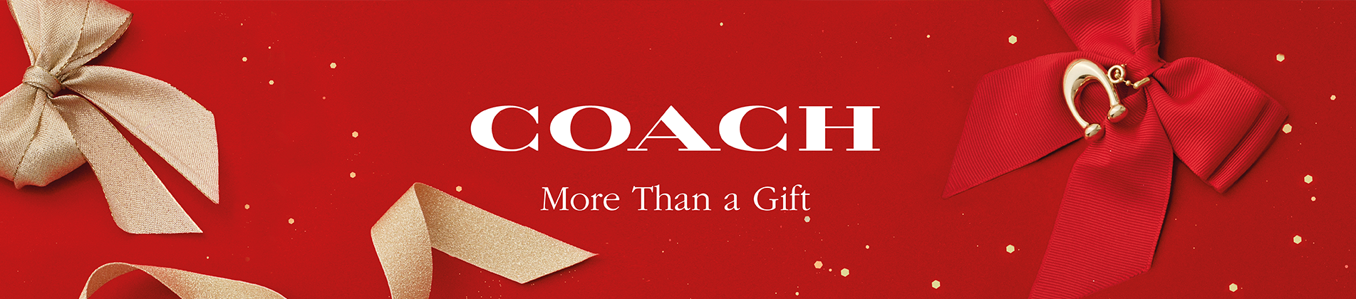 Coach New York