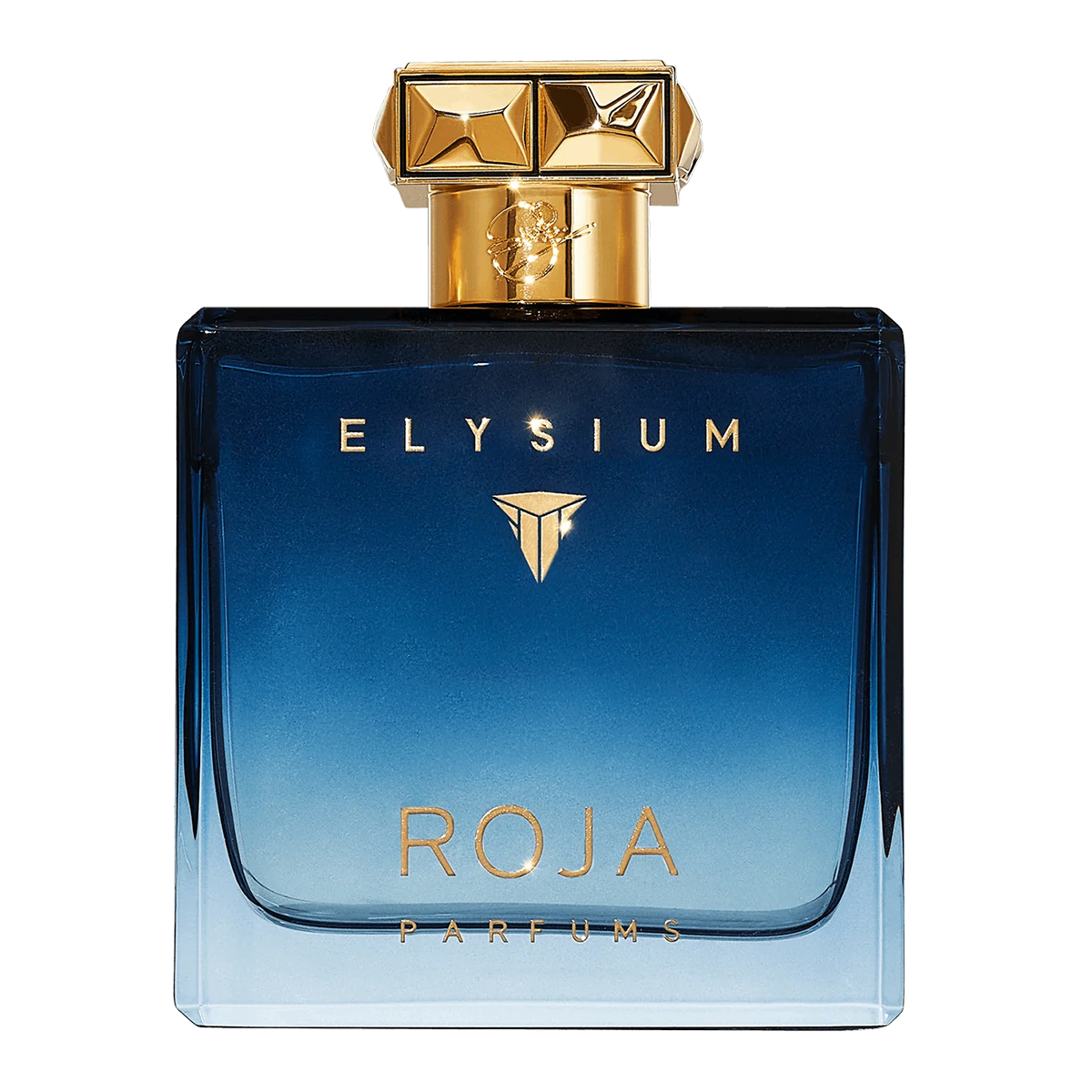 Roja Elysium Pour Homme Parfum Cologne 100ml